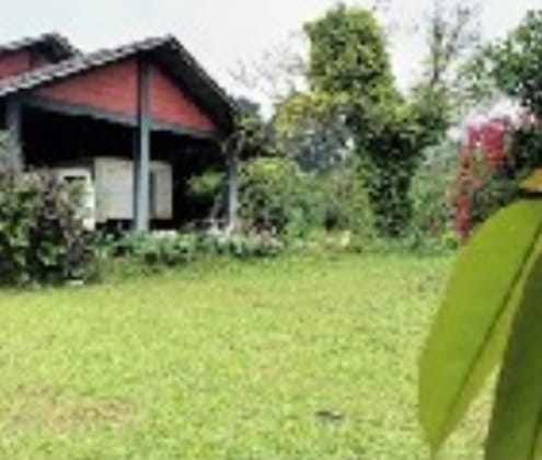 SEKRETARIAT YPHN : VILA GINSENG, KAB. BOGOR